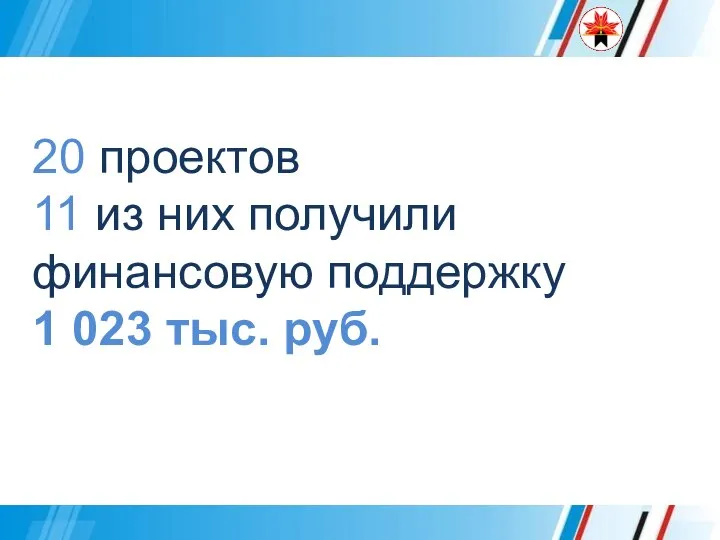 20 проектов 11 из них получили финансовую поддержку 1 023 тыс. руб.