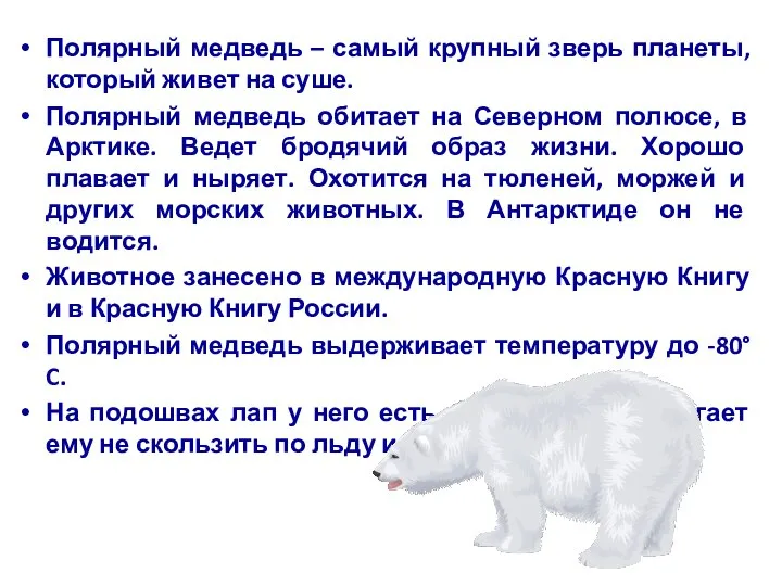 Полярный медведь – самый крупный зверь планеты, который живет на суше.