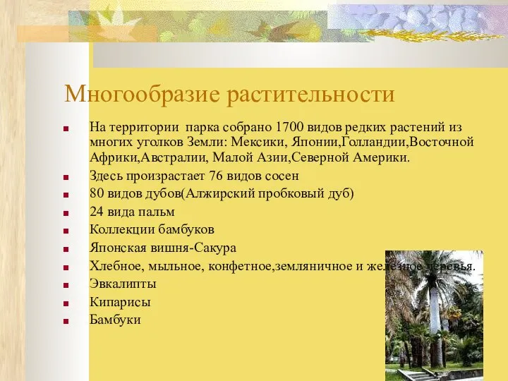 Многообразие растительности На территории парка собрано 1700 видов редких растений из