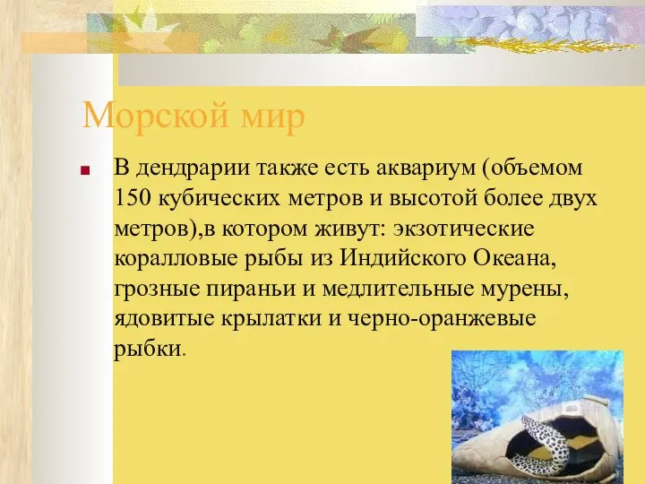 Морской мир В дендрарии также есть аквариум (объемом 150 кубических метров