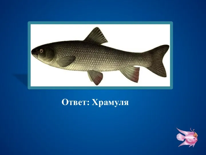 Ответ: Храмуля