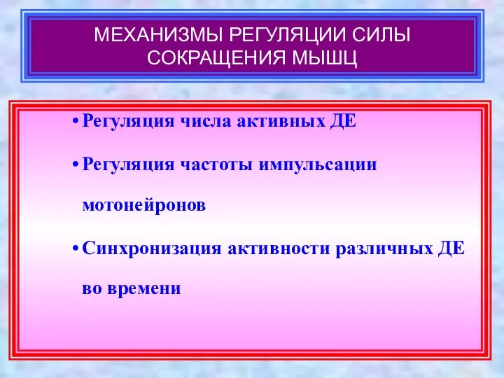 МЕХАНИЗМЫ РЕГУЛЯЦИИ СИЛЫ СОКРАЩЕНИЯ МЫШЦ Регуляция числа активных ДЕ Регуляция частоты