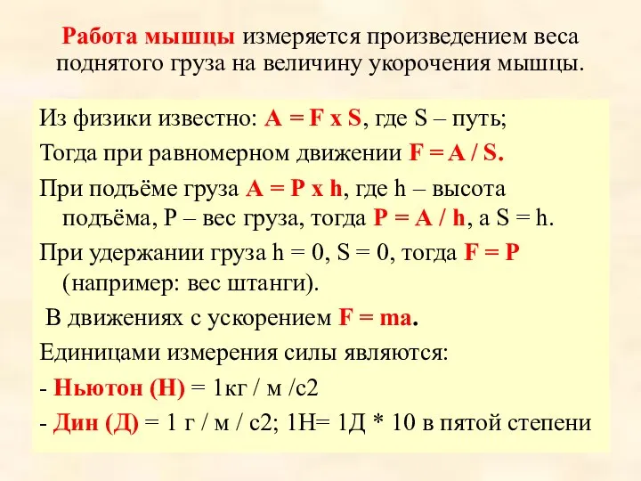 Работа мышцы измеряется произведением веса поднятого груза на величину укорочения мышцы.