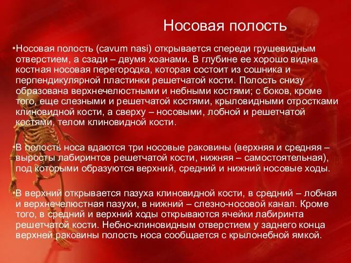 Носовая полость Носовая полость (cavum nasi) открывается спереди грушевидным отверстием, а