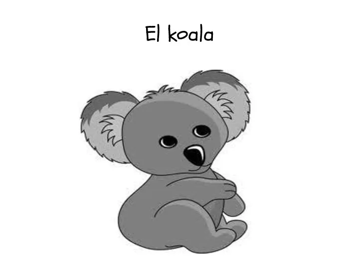 El koala