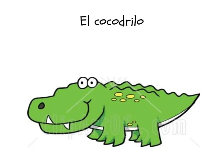 El cocodrilo