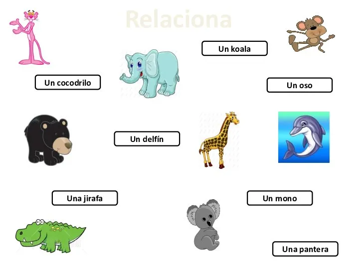 Relaciona Una pantera Un koala Un mono Un cocodrilo Un delfín Una jirafa Un oso