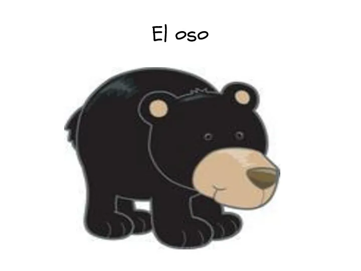 El oso