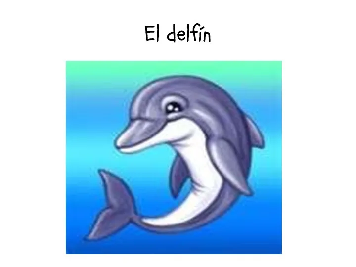 El delfín