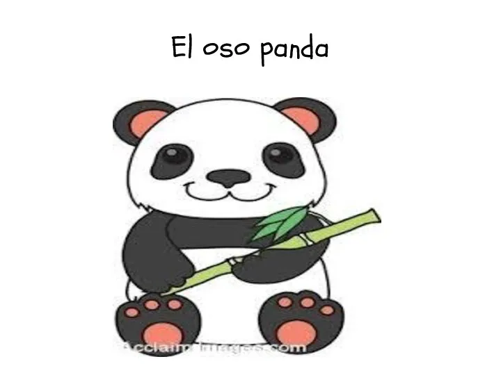 El oso panda