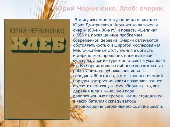 В книгу известного журналиста и писателя Юрия Дмитриевича Черниченко включены очерки