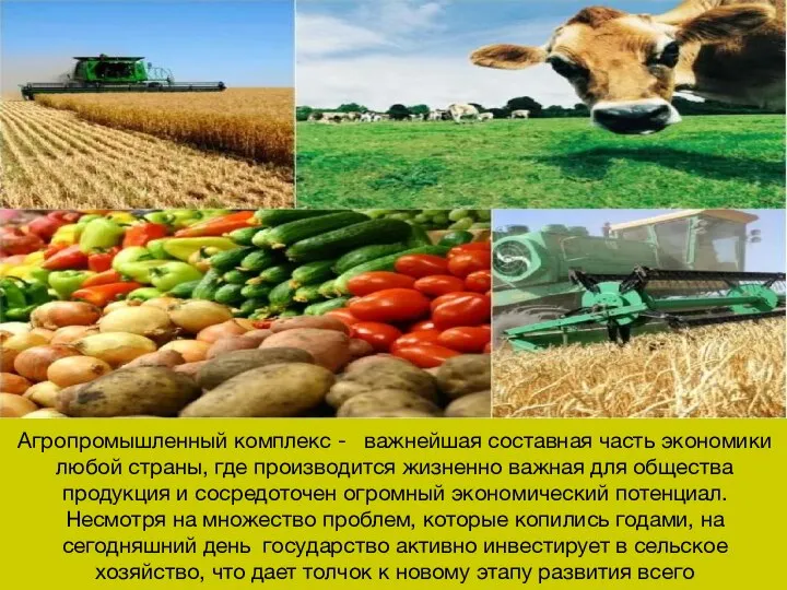 Агропромышленный комплекс - важнейшая составная часть экономики любой страны, где производится