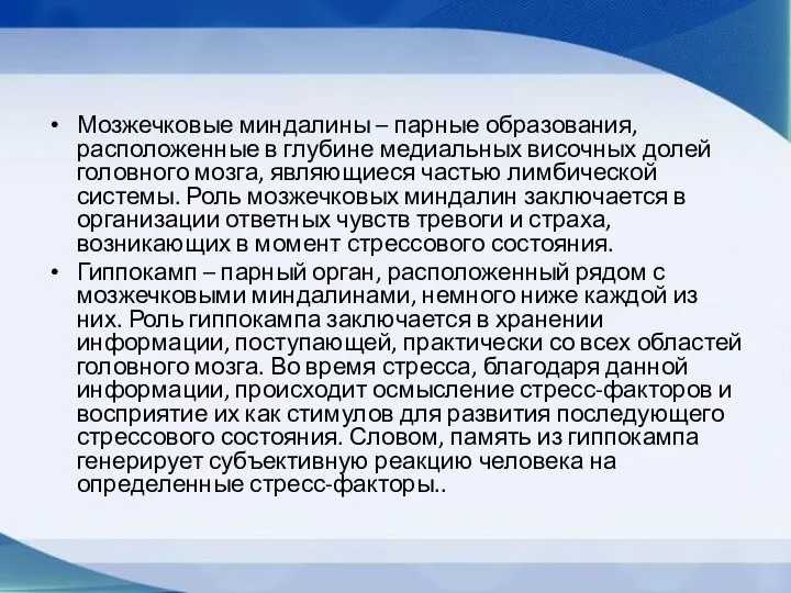 Мозжечковые миндалины – парные образования, расположенные в глубине медиальных височных долей