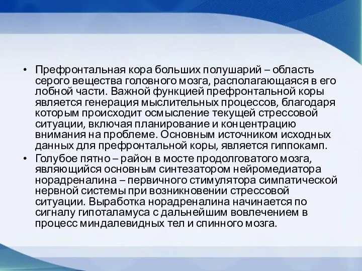 Префронтальная кора больших полушарий – область серого вещества головного мозга, располагающаяся