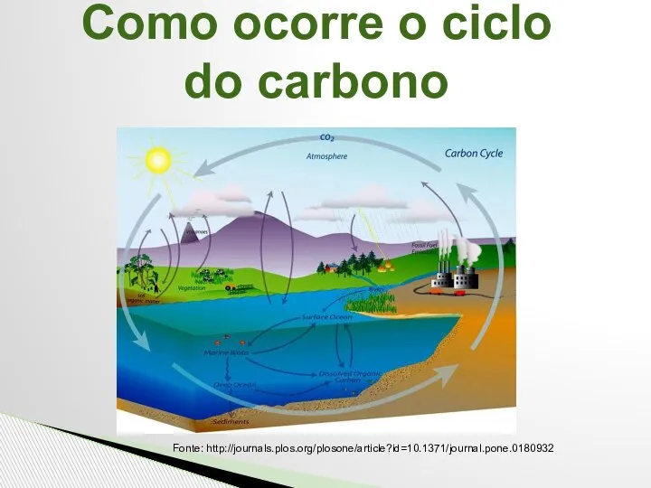 Como ocorre o ciclo do carbono Fonte: http://journals.plos.org/plosone/article?id=10.1371/journal.pone.0180932