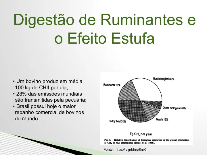 Um bovino produz em média 100 kg de CH4 por dia;