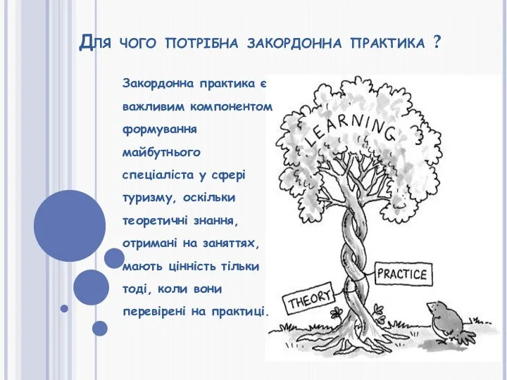 Для чого потрібна закордонна практика ? Закордонна практика є важливим компонентом