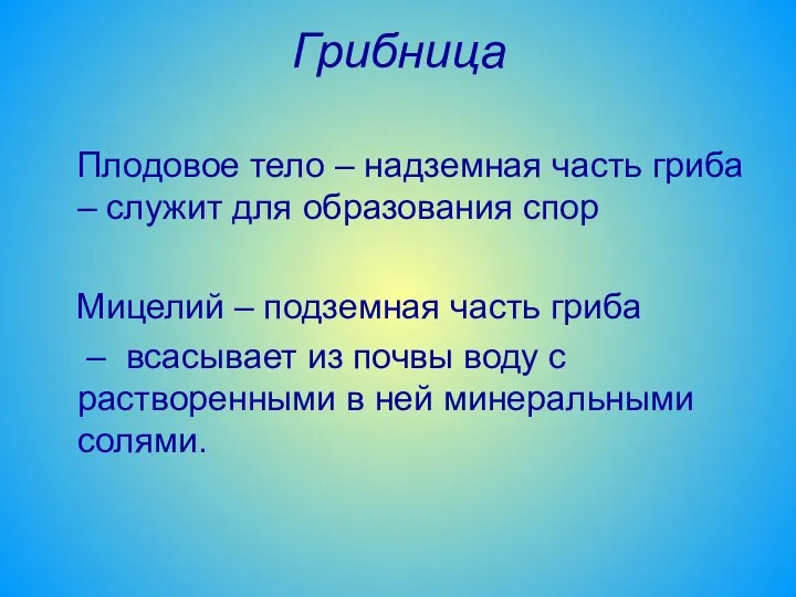 Грибница Плодовое тело – надземная часть гриба – служит для образования