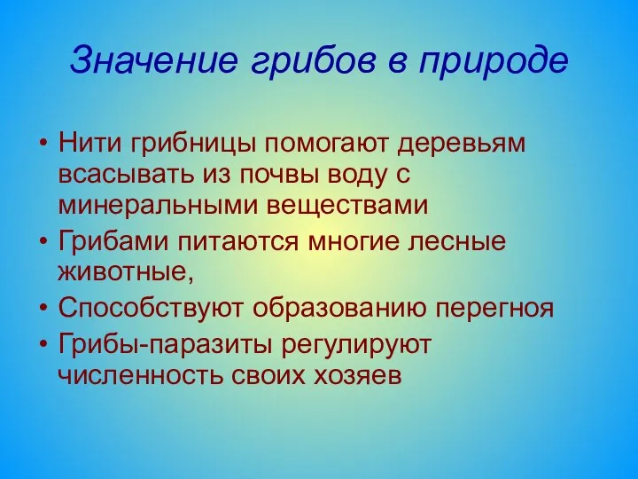 Значение грибов в природе Нити грибницы помогают деревьям всасывать из почвы