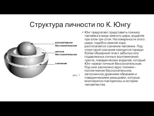 Структура личности по К. Юнгу Юнг предлагает представить психику человека в