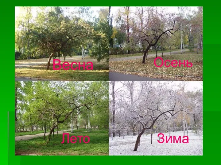 Весна Лето Осень Зима