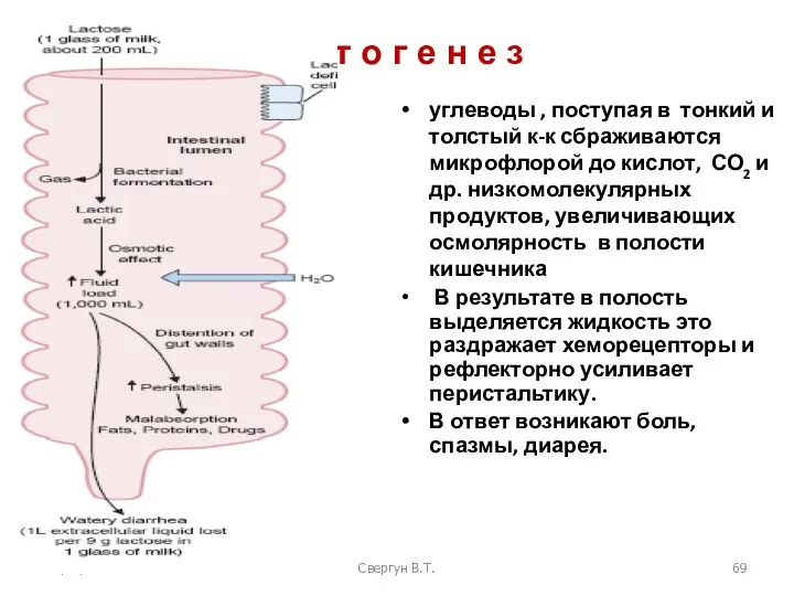 08/07/2023 Свергун В.Т. П а т о г е н е