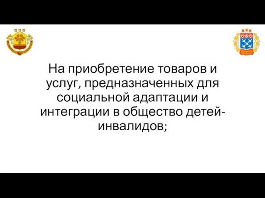 На приобретение товаров и услуг, предназначенных для социальной адаптации и интеграции в общество детей-инвалидов;