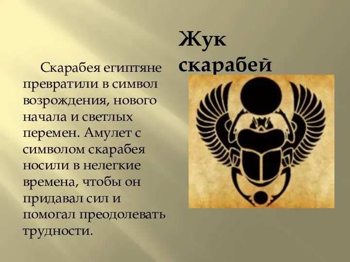 Жук скарабей Скарабея египтяне превратили в символ возрождения, нового начала и