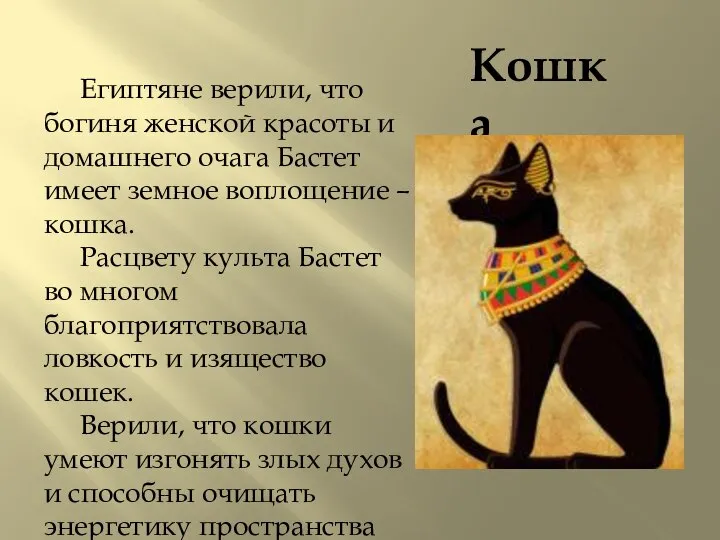 Кошка Египтяне верили, что богиня женской красоты и домашнего очага Бастет