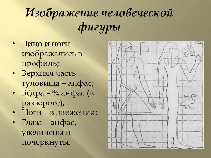 Изображение человеческой фигуры Лицо и ноги изображались в профиль; Верхняя часть