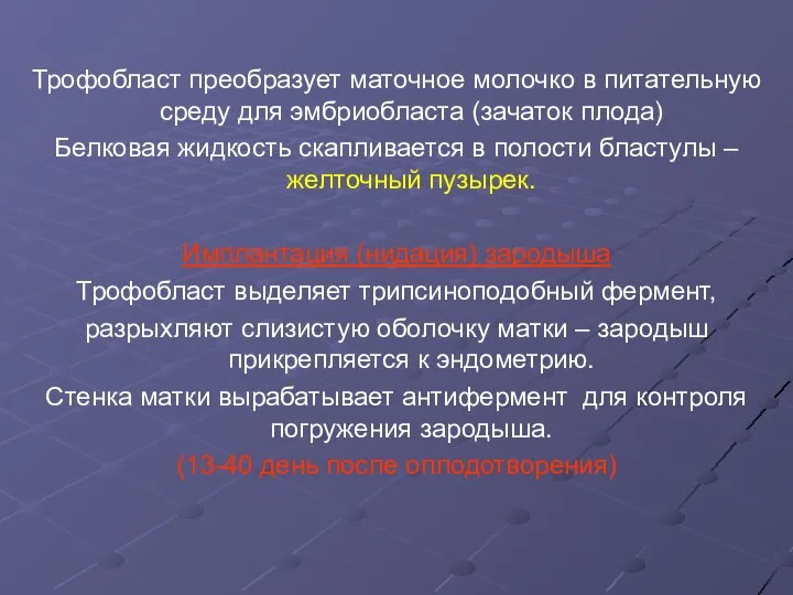 Трофобласт преобразует маточное молочко в питательную среду для эмбриобласта (зачаток плода)