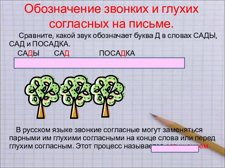 Обозначение звонких и глухих согласных на письме. Сравните, какой звук обозначает