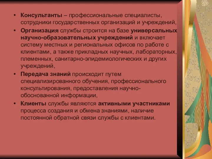 Консультанты – профессиональные специалисты, сотрудники государственных организаций и учреждений, Организация службы