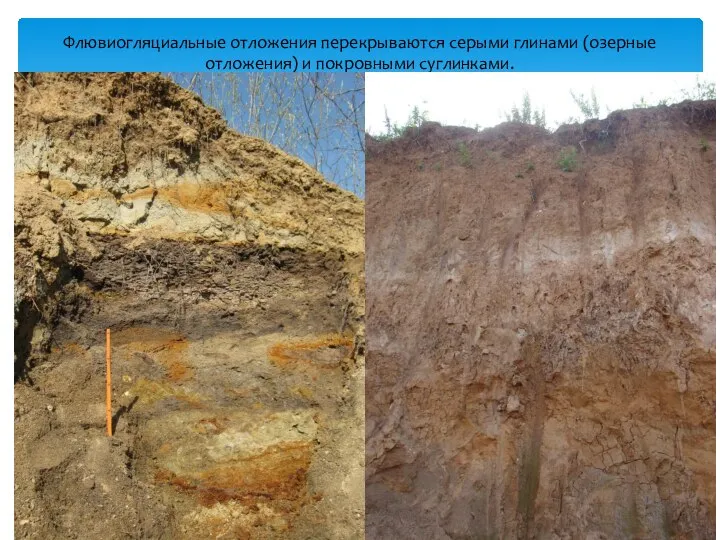 Флювиогляциальные отложения перекрываются серыми глинами (озерные отложения) и покровными суглинками.
