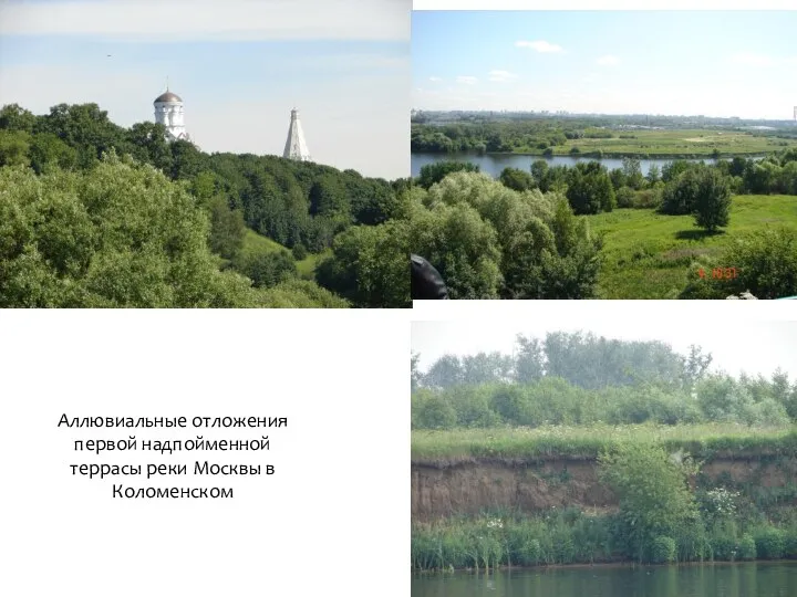 Аллювиальные отложения первой надпойменной террасы реки Москвы в Коломенском