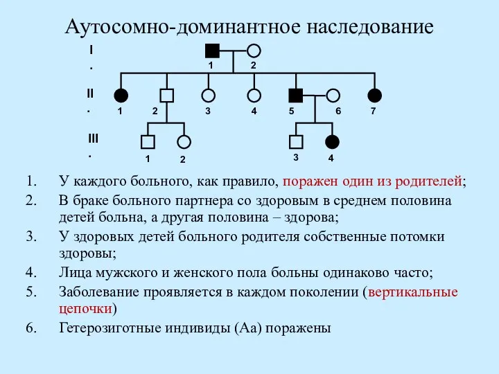 Аутосомно-доминантное наследование У каждого больного, как правило, поражен один из родителей;