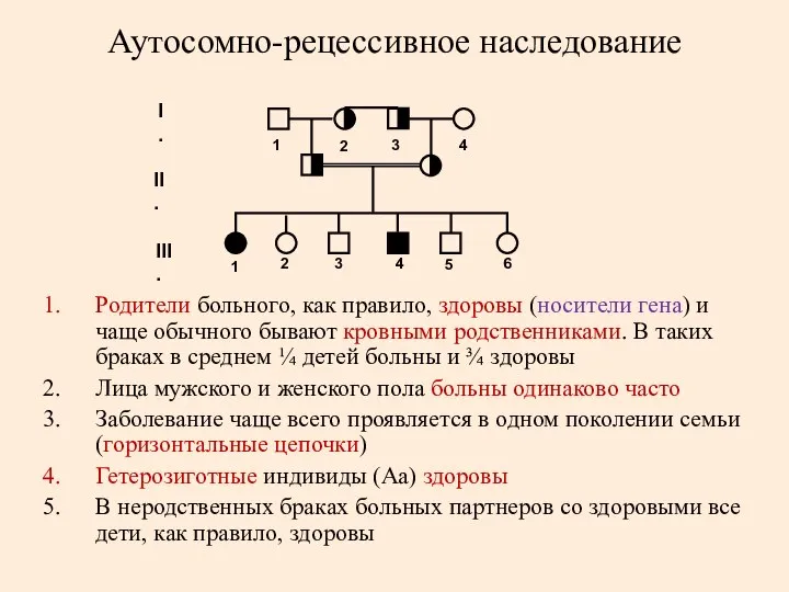 Аутосомно-рецессивное наследование 1 2 1 2 3 4 5 6 I.