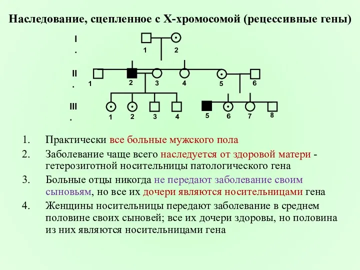 Наследование, сцепленное с X-хромосомой (рецессивные гены) 1 2 1 2 3