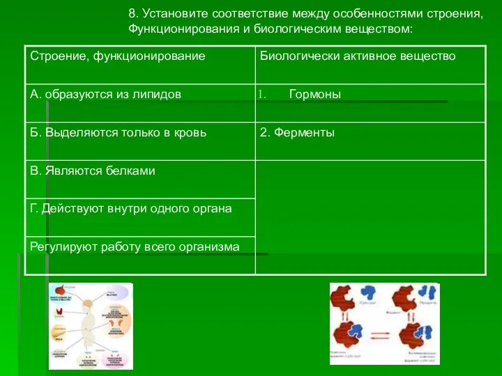 8. Установите соответствие между особенностями строения, Функционирования и биологическим веществом: