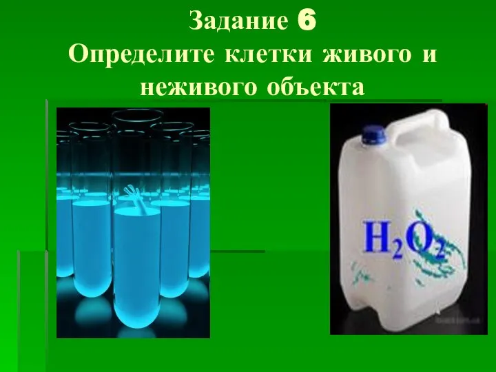 Задание 6 Определите клетки живого и неживого объекта