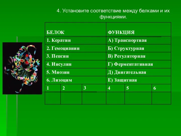 4. Установите соответствие между белками и их функциями.