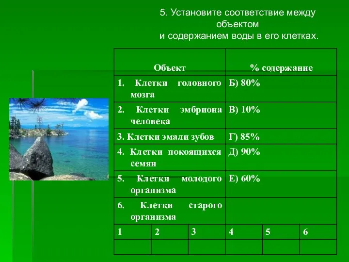 5. Установите соответствие между объектом и содержанием воды в его клетках.