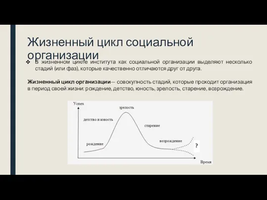 Жизненный цикл социальной организации В жизненном цикле института как социальной организации