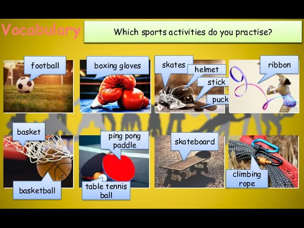 What sports activities do you know? Vocabulary What can you see