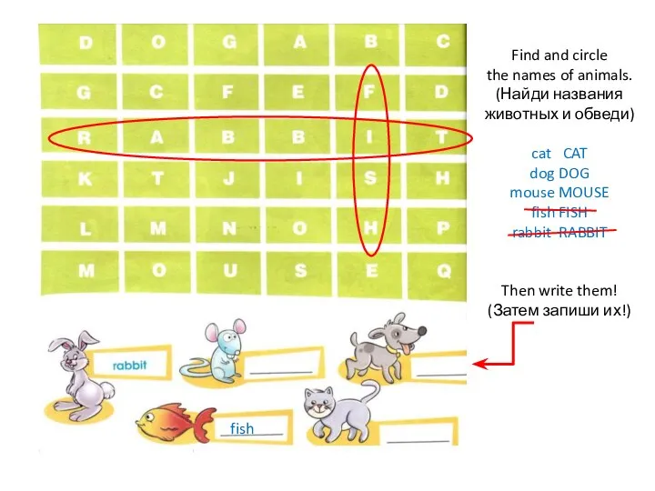 Find and circle the names of animals. (Найди названия животных и
