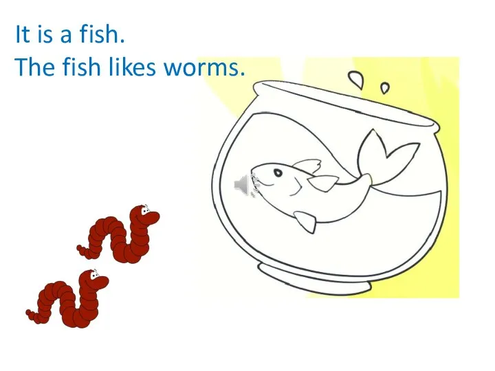 It is a fish. The fish likes worms.