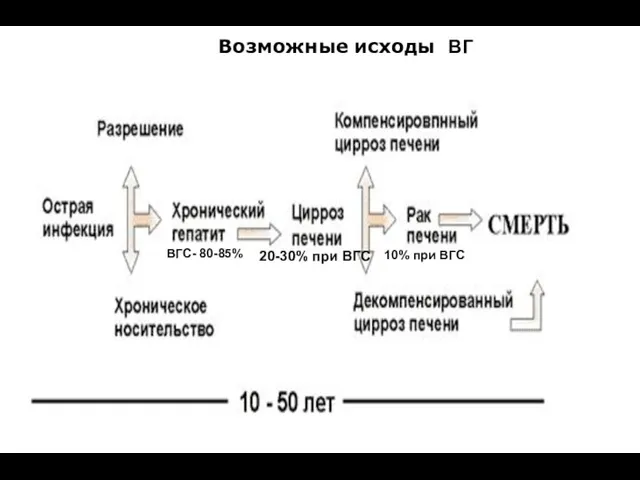 Возможные исходы ВГ ВГС- 80-85% 10% при ВГС 20-30% при ВГС