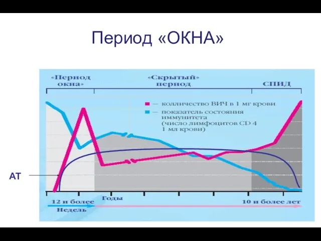 Период «ОКНА» АТ