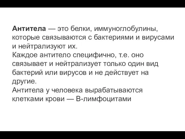 Антитела — это белки, иммуноглобулины, которые связываются с бактериями и вирусами