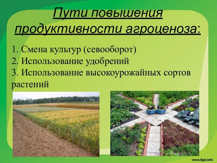 Пути повышения продуктивности агроценоза: 1. Смена культур (севооборот) 2. Использование удобрений 3. Использование высокоурожайных сортов растений